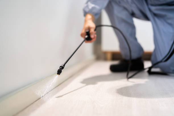 Bed Bug Pre-Treatment Preparation Assessment in Mason City