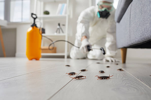 Post-Treatment Bed Bug Interceptor Monitoring in Mason City