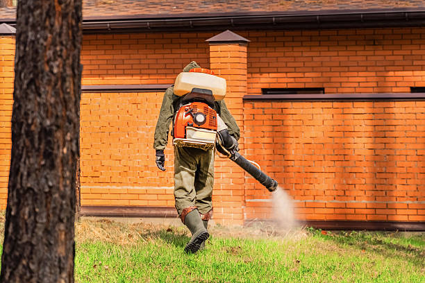 Bed Bug Clearance Verification and Documentation in Mason City